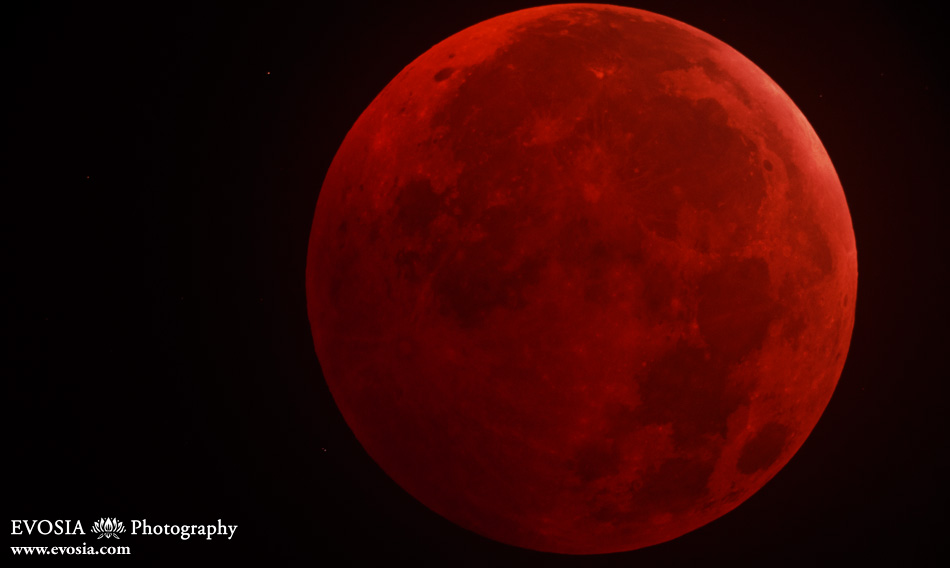 Photo of the Moon during total lunar eclipse