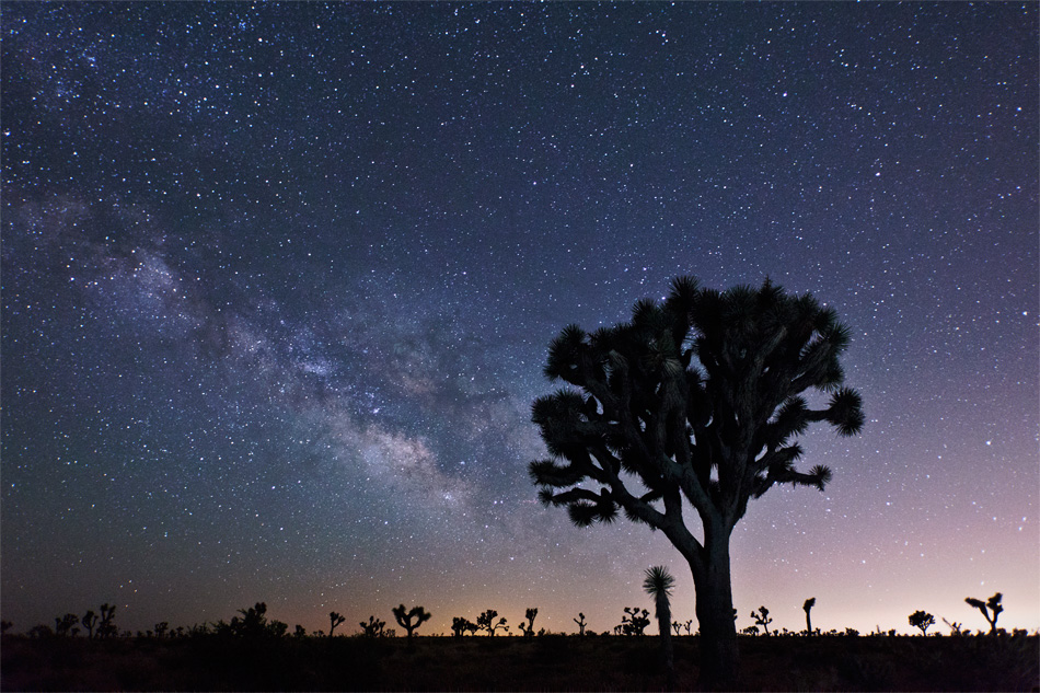 Milky Way Galactic Core in Joshua Tree