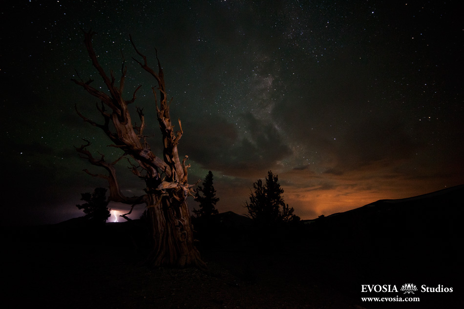 An Electrical Storm Near the Ancient Bristlecone Pine Forest