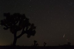 Leonid Meteor Shower over Joshua Tree National Park