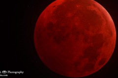 Photo of the Moon during total lunar eclipse