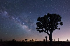 Milky Way Galactic Core in Joshua Tree
