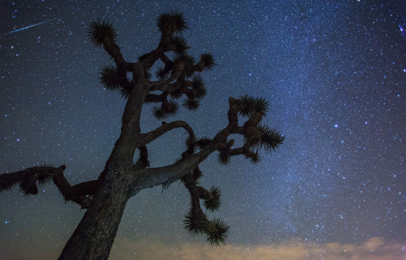 Meteor over Joshua Tree