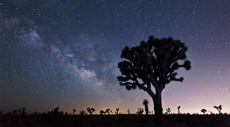 Galactic Core of the Milky Way in Joshua Tree